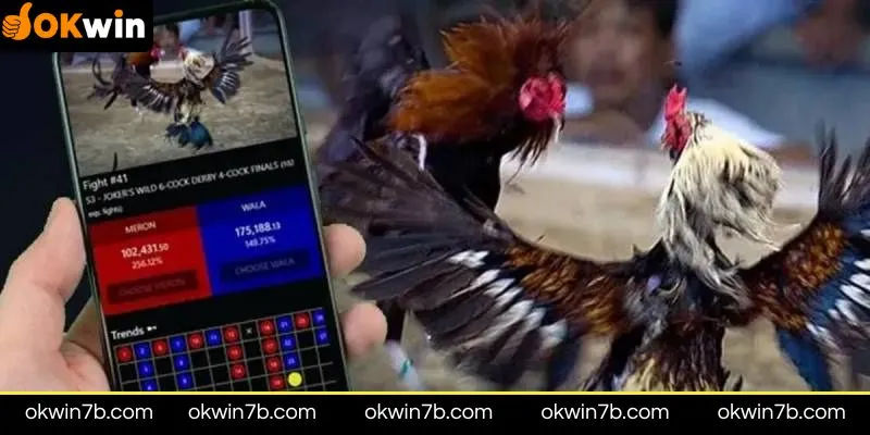 Lợi ích khi tham gia Đá gà online OKWIN